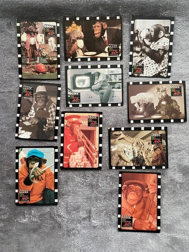 Jahre schimpanse fernsehen - 40,